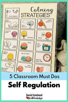 the 5 classroom must do self regulation poster is shown in front of a stuffed animal