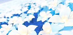 blue and white flowers are arranged on the ground