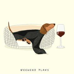 a black and brown dog laying on top of a couch next to a glass of wine