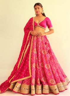 Dresses Traditional, Indian Dresses Traditional, Long Skirts, Indian Dresses, Long Skirt, Lehenga, Blouse Designs