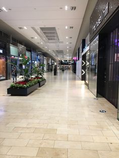 an empty shopping mall filled with lots of plants