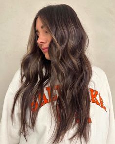 Fall Hair Inspo For Dark Hair, Light And Dark Brown Hair Color Ideas, Highlight On Medium Brown Hair, Simple Brown Hair Color, Brown Hair With Settle Highlights, All Brown Balayage, Dark Brown Hair W Dimension, Dark Brown Hair Soft Highlights, Long Dark Brown Hair With Light Brown Highlights