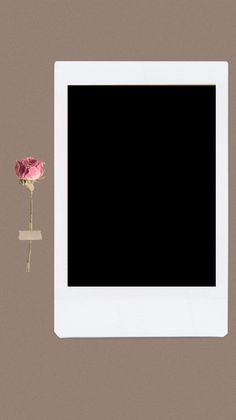 a white frame with a single pink flower on the left and a black screen on the right