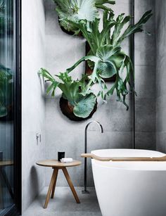 a bath tub sitting next to a wooden table and plant wall hanging on the wall