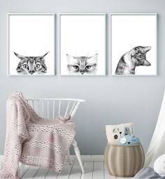 three black and white pictures of cats on the wall in a child's room