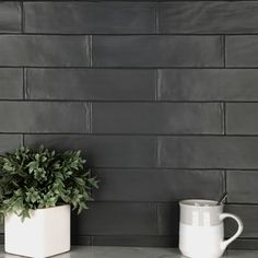 two white mugs sitting on top of a counter next to a potted plant