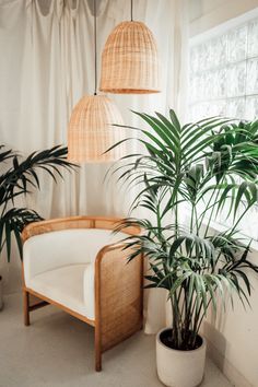 a living room with two plants in the corner