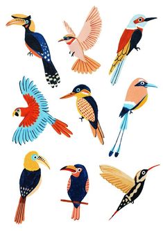 an image of birds that are flying in the air on a white background with blue, red, yellow and orange colors