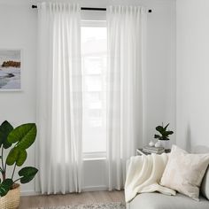 a living room with white curtains and a large plant in front of the window,