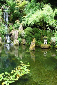 a pond with water lilies, rocks and a waterfall in the middle is surrounded by greenery