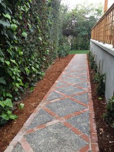 a brick walkway in front of a house with green plants on either side and bushes growing along the wall