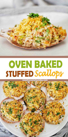 Stuffed scallops in their shell with a sprinkling of parsley on a white plate. Scallop Recipes Appetizer, Stuffed Scallops In Shell, Fancy Scallop Recipes, Baked Scallops Bread Crumbs, Baked Stuffed Scallops Recipe, Baked Stuffed Scallops, What To Serve With Scallops, Scallop Appetizer Recipes, Baked Scallop Recipes