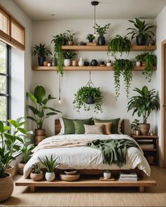 a bedroom with lots of plants on the shelves above the bed and in between two windows