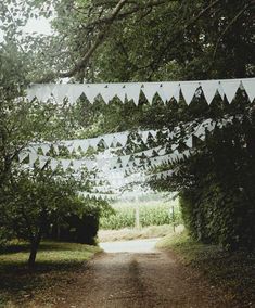 an image of a dirt road that is lined with trees and pennants hanging from the branches