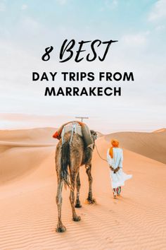 a man leading a camel in the desert with text overlay reading 8 best day trips from marrakeh