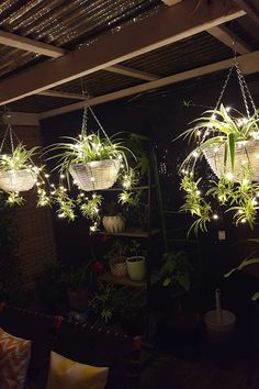 hanging planters with plants and lights in the middle of a room filled with potted plants