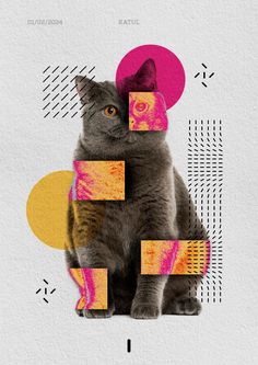 a cat sitting on top of a piece of paper with geometric shapes in the background