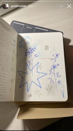 an open book with drawings on it