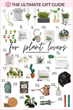 the ultimate gift guide for plant lovers