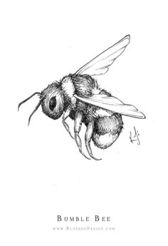 a drawing of a bee with the words bumble bee on it's back