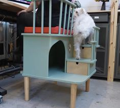 a white dog standing on top of a blue chair