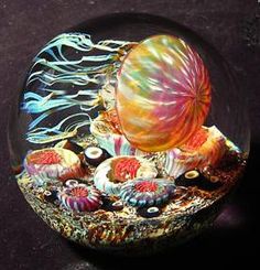 an image of a glass ball with sea shells in it on a black table top