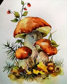 watercolor painting of mushrooms and flowers on white paper