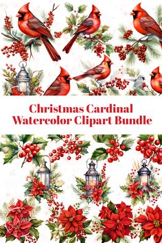 christmas cardinal watercolor clipart bundle