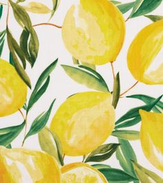 a painting of lemons and leaves on a white background