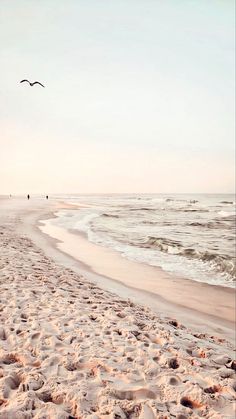 two birds flying over the ocean on a sandy beach with footprints in the sand and waves