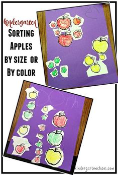 two pictures of apples on purple paper with words describing sorting apples by size or by color