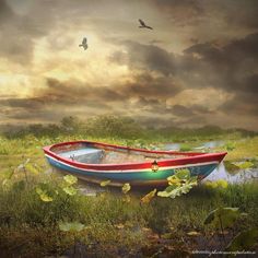 a red and blue boat sitting on top of a lush green field under a cloudy sky