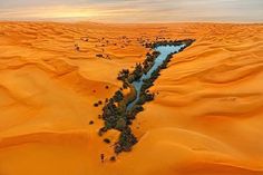 an aerial view of a river in the middle of sand dunes with trees growing out of it