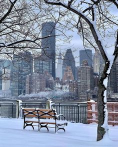 a park bench covered in snow with the city skyline in the backgrounnd