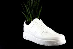 Elevate your decor game with this Jordan Shoe Planter, the ultimate statement piece for any sneakerhead or fan of unique design. Carefully shaped to mirror the legendary shoe, this planter seamlessly blends sneaker culture with your indoor greenery or desk organization. Each planter is diligently crafted in a 3D print workshop in Chicago, Illinois, using PLA, a biodegradable material that's not only sturdy but also kind to our precious planet 🌎💚. Dimensions: 3 inches wide by 7 inches long Incl Jordan Decor, Shoe Planter, Sneakerhead Gifts, Print Workshop, Jordan Shoe, Sneaker Culture, Indoor Greenery, Air Force One, Force One