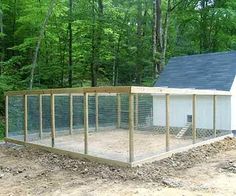 a chicken coop in the middle of a wooded area