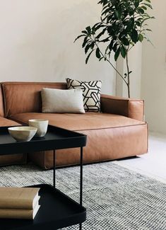 a living room with a couch, coffee table and potted plant