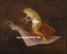 Frog Pictures, Little Life, A Frog, Cute Frogs, Dark Souls, Infj, Fallout