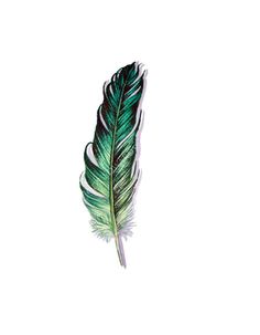 a green and white feather on a white background