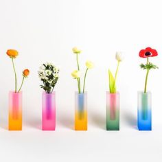 four vases with flowers in them on a white surface, one is multicolored