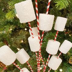 marshmallows and candy canes are hanging from a christmas tree ornament