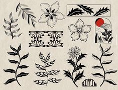 various flowers and leaves are drawn on paper