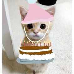 a cat wearing a birthday hat with candles on it