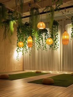 an indoor yoga room with plants hanging from the ceiling and lights on the wall above it