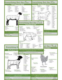 an info sheet showing the different types of horses in each country and their names on it