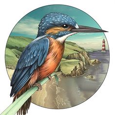 a colorful bird sitting on top of a green branch next to the ocean with a lighthouse in the background