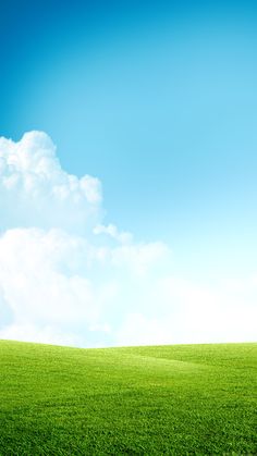 a green field with blue sky and white clouds in the backgrounnds