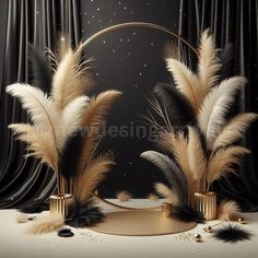 an artistic photo with feathers and a mirror in front of black drapes, stars and sparkles