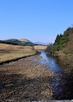 a river running through a lush green field next to trees and mountains in the distance