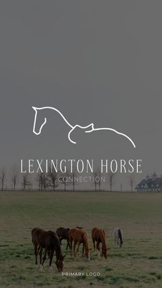 four horses grazing in a field with the words layington horse connection above them and an overcast sky